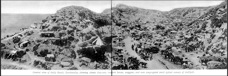 Gallipoli landscape of Gully Beach shows dug-outs, horses, soldiers
